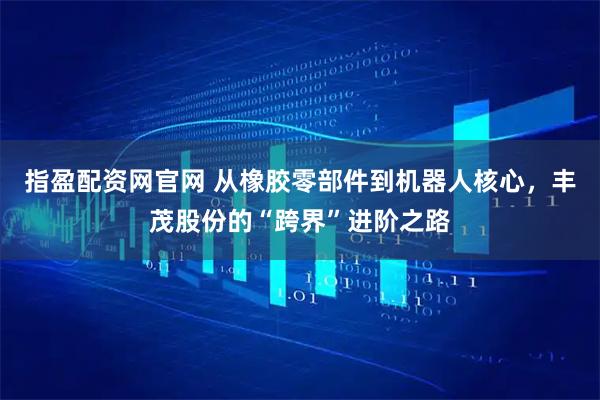 指盈配资网官网 从橡胶零部件到机器人核心，丰茂股份的“跨界”进阶之路