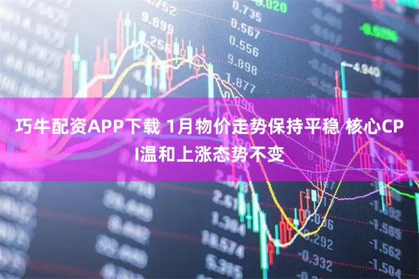 巧牛配资APP下载 1月物价走势保持平稳 核心CPI温和上涨态势不变