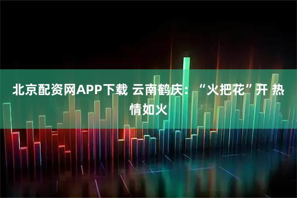 北京配资网APP下载 云南鹤庆：“火把花”开 热情如火